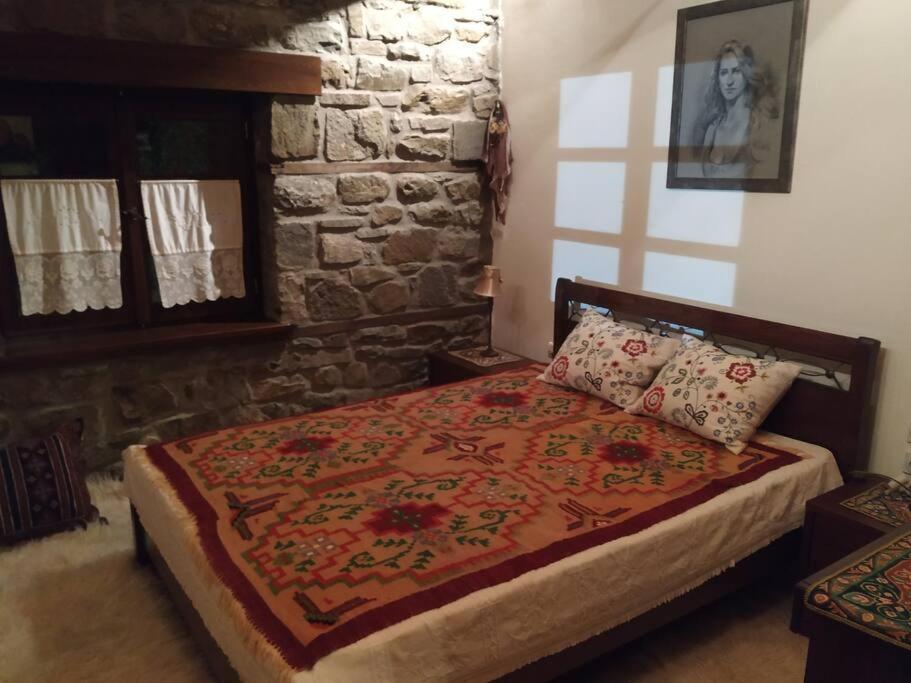 Παραδοσιακή Πέτρινη Κατοικία Στην Βλάχα Ελάτης Екстер'єр фото
