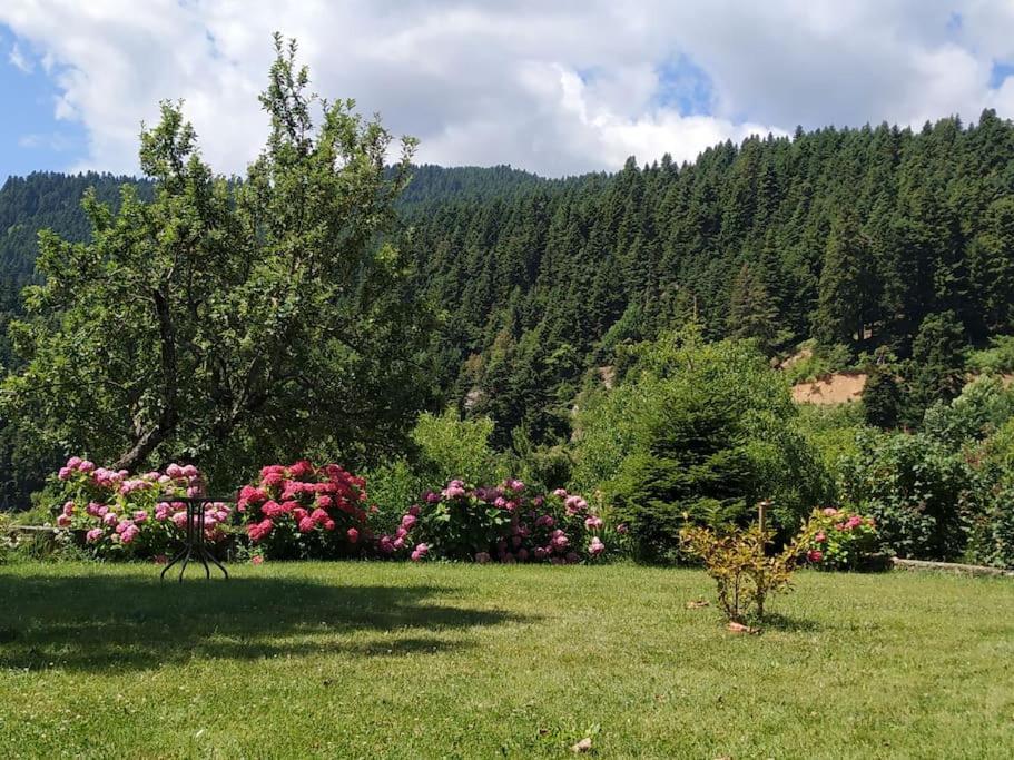 Παραδοσιακή Πέτρινη Κατοικία Στην Βλάχα Ελάτης Екстер'єр фото